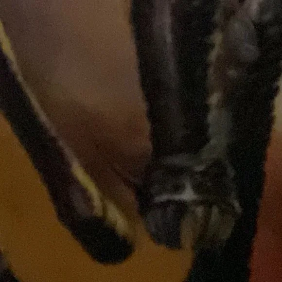 LIMITED EDITION RARE KISS DETROYER ALBUM COVER BEACH TOWEL BLANKET - Picture 5 of 6